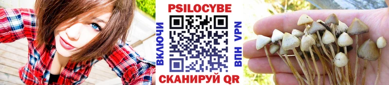 Псилоцибиновые грибы GOLDEN TEACHER  Камбарка 
